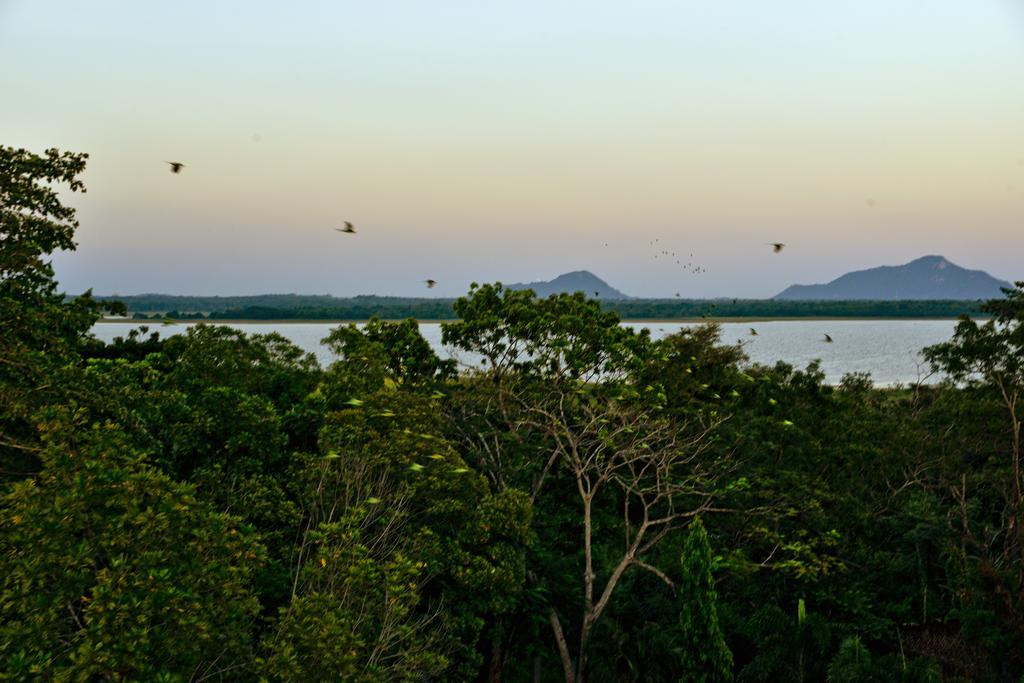 Ceylan Lodge Anuradhapura Eksteriør billede